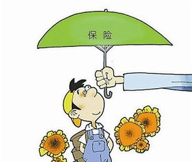 勞務服務中可得利益損失的認定與賠償
